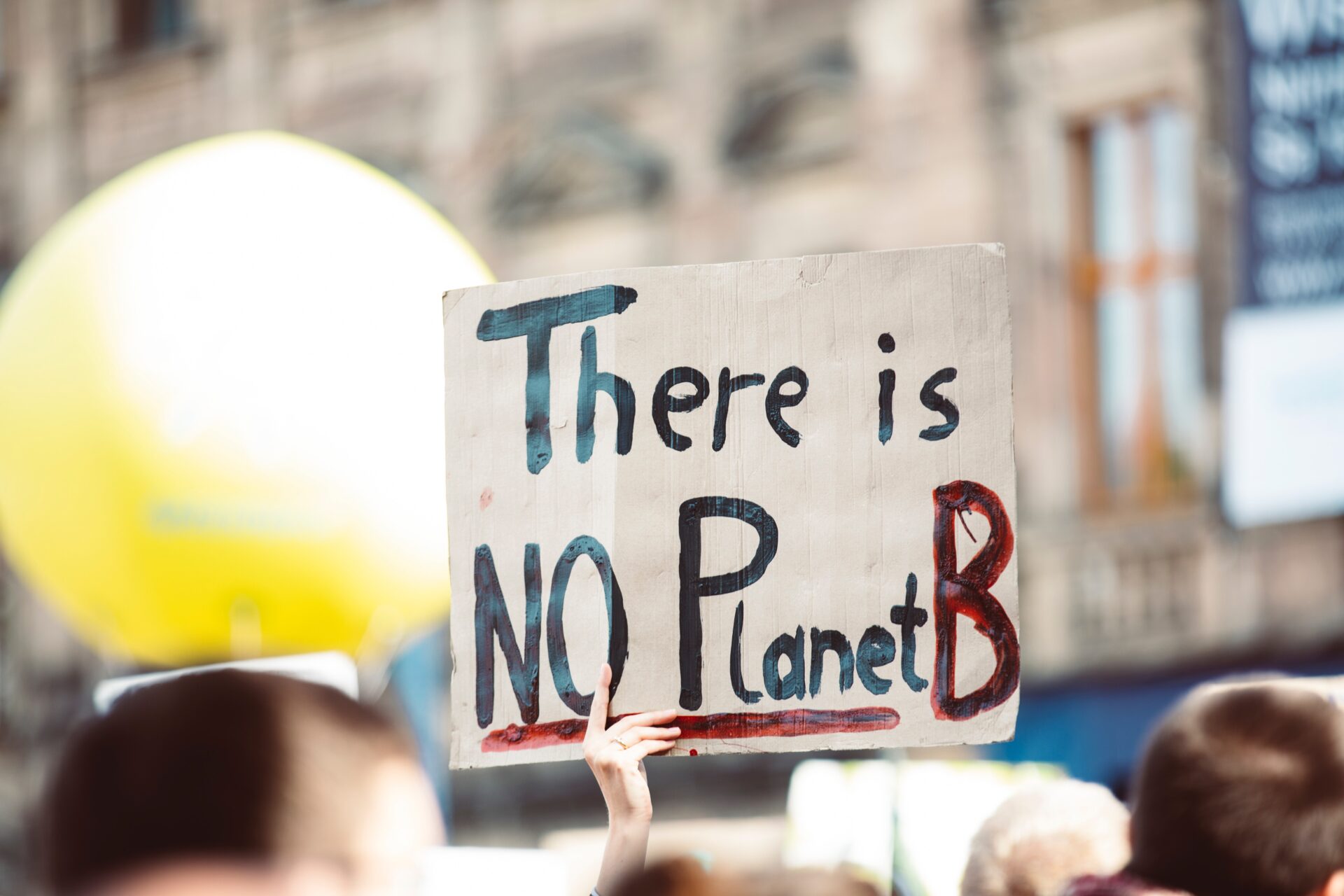 A placard, held aloft, reading "There is NO Planet B", written in black paint.