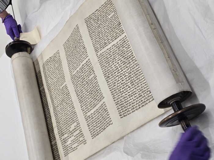 Manuscript covered with Hebrew handwritten script, unrolled between two wooden handles held by hands wearing purple gloves.