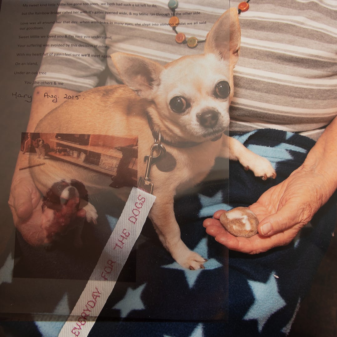 A mixed media collage depicting a person holding a small dog in their lap.